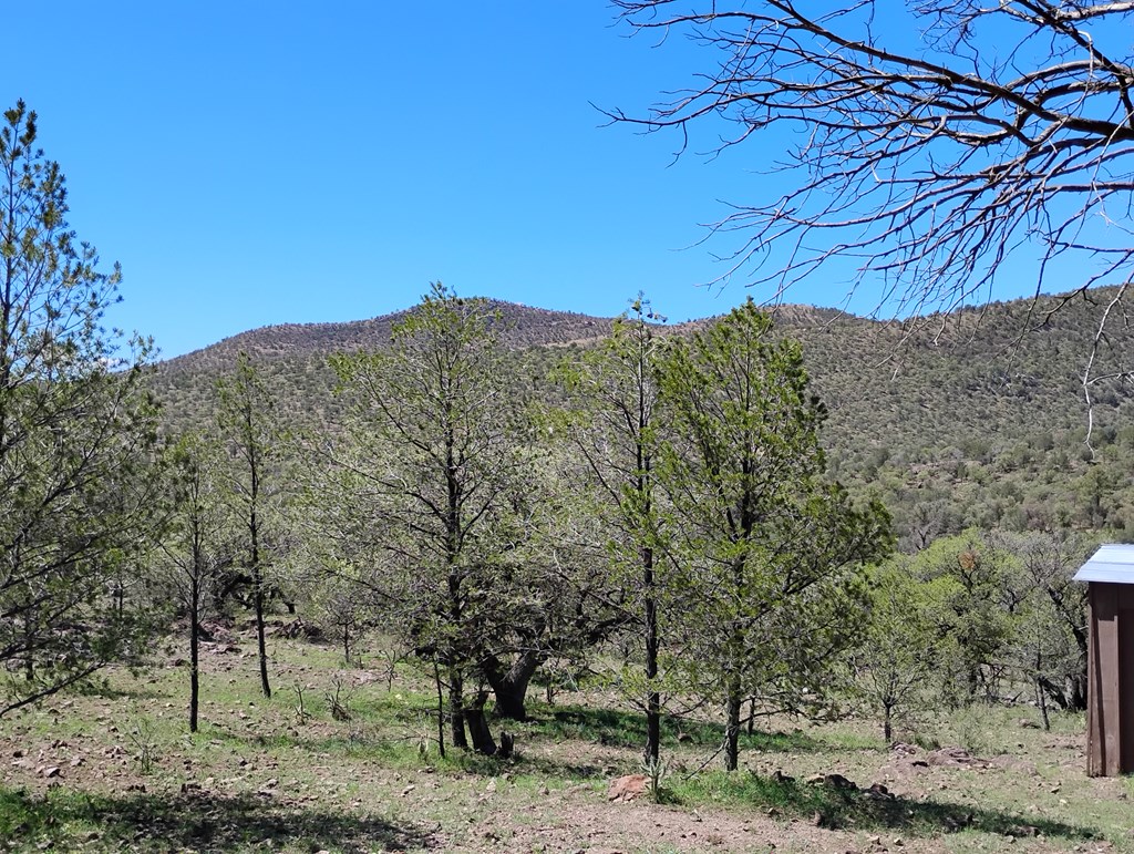 105 Crazy Horse Trail #6, Fort Davis, Texas image 21