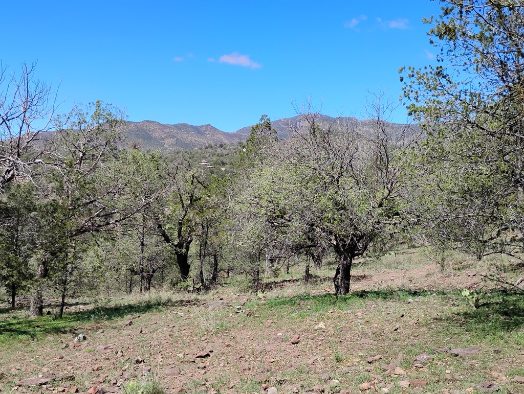 105 Crazy Horse Trail #6, Fort Davis, Texas image 10