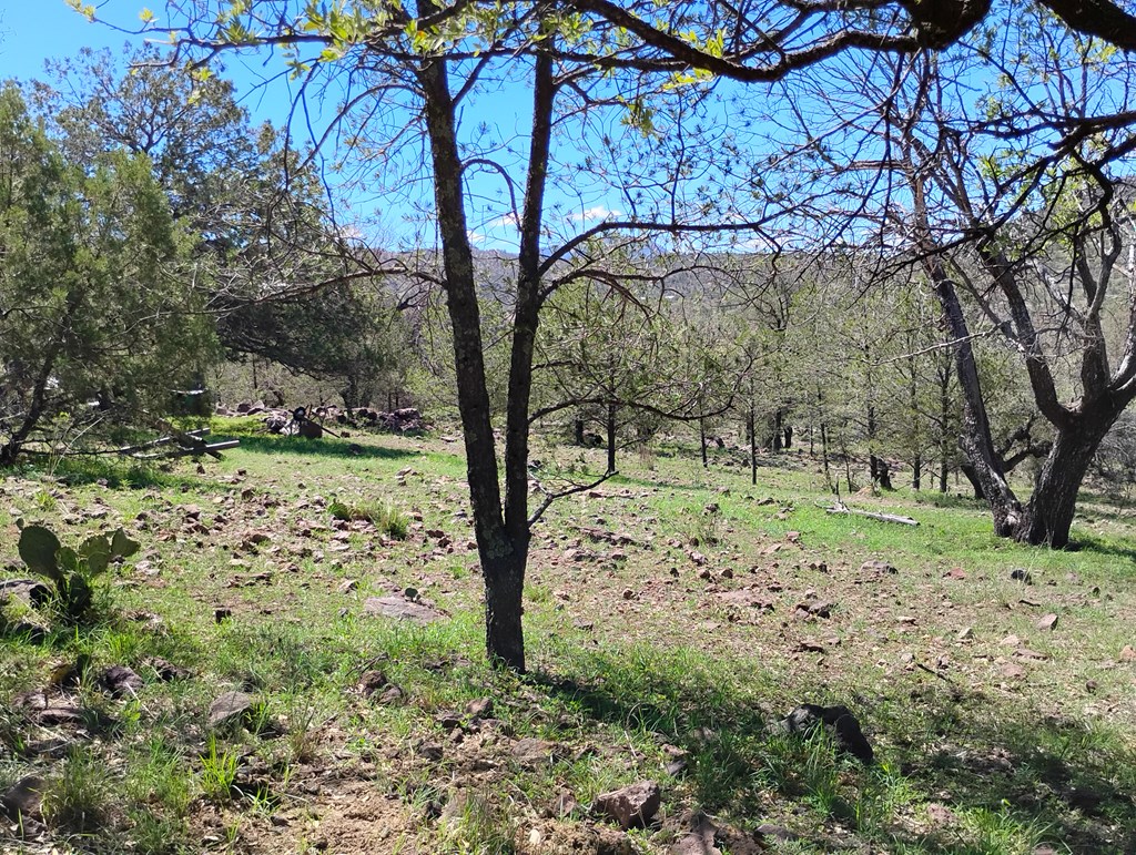 105 Crazy Horse Trail #6, Fort Davis, Texas image 19