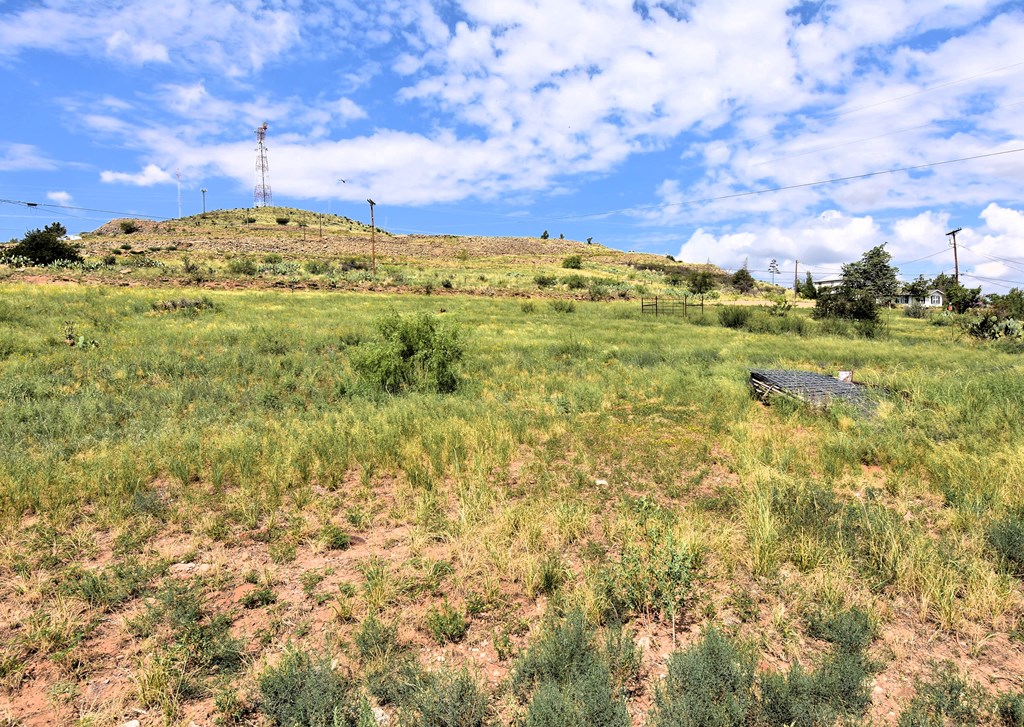 900 State Hwy 118 S, Alpine, Texas image 2