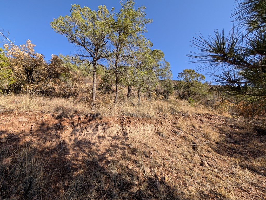 402 Colleen Canyon Trail, Fort Davis, Texas image 13