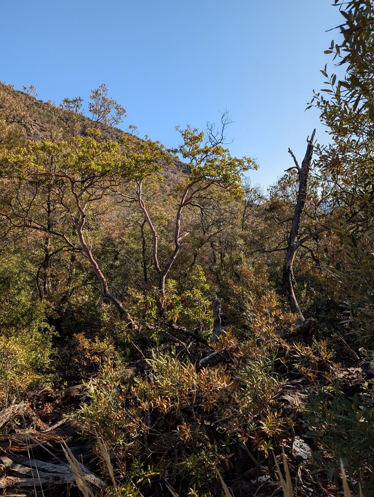 402 Colleen Canyon Trail, Fort Davis, Texas image 8