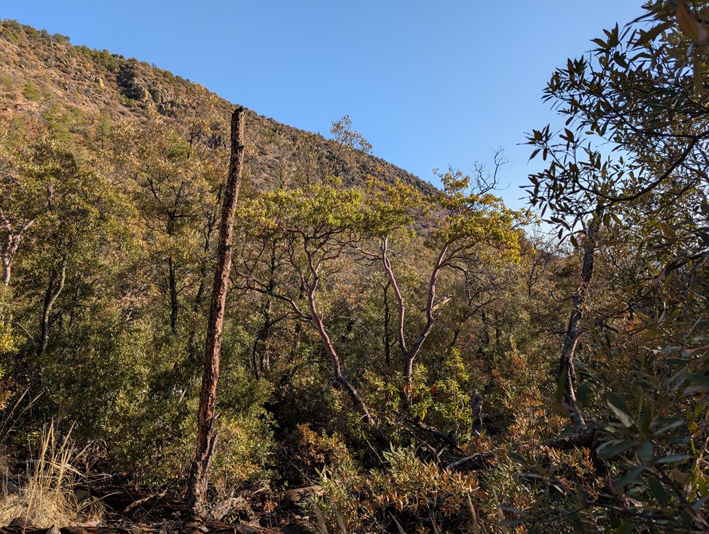 402 Colleen Canyon Trail, Fort Davis, Texas image 5