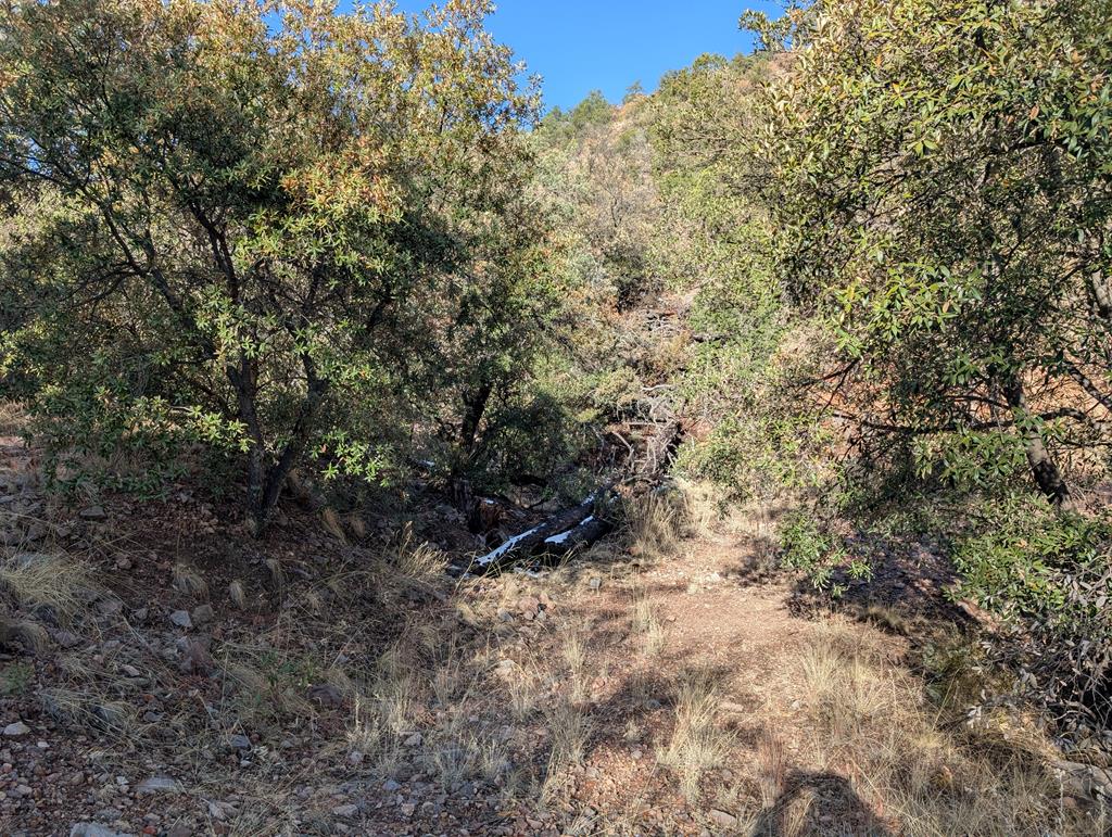 402 Colleen Canyon Trail, Fort Davis, Texas image 1