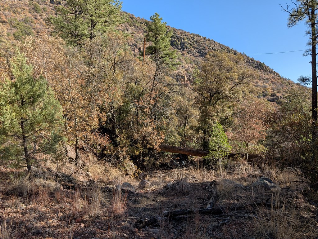 402 Colleen Canyon Trail, Fort Davis, Texas image 22