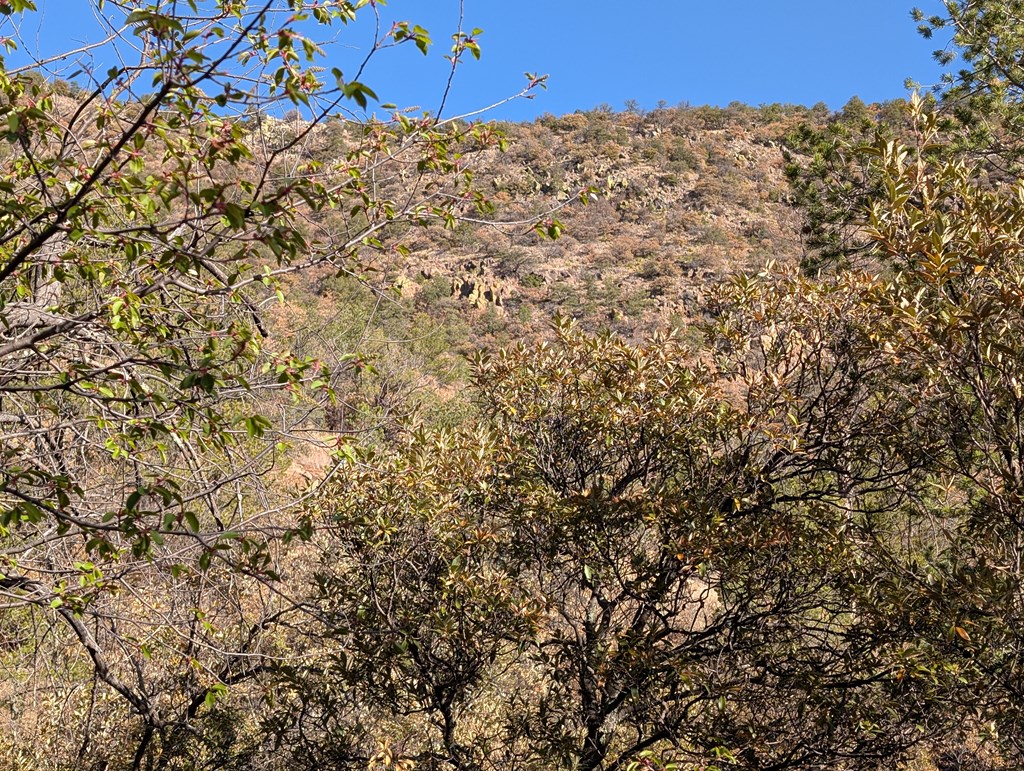 402 Colleen Canyon Trail, Fort Davis, Texas image 17