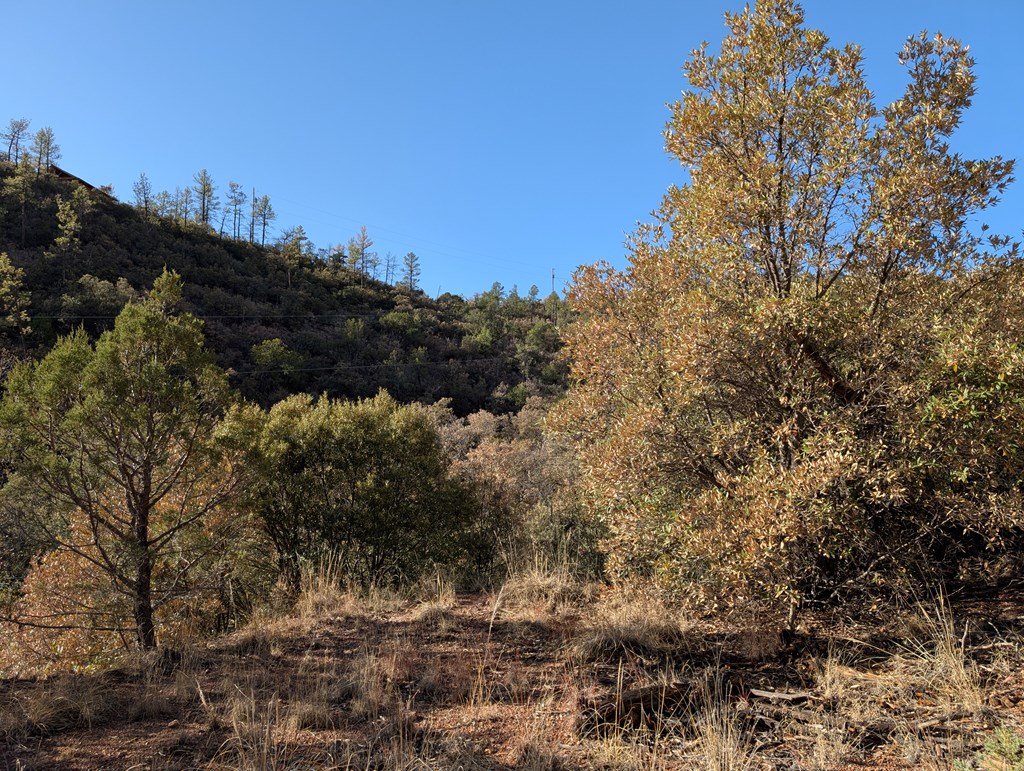 402 Colleen Canyon Trail, Fort Davis, Texas image 12