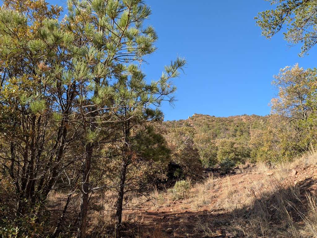 402 Colleen Canyon Trail, Fort Davis, Texas image 14