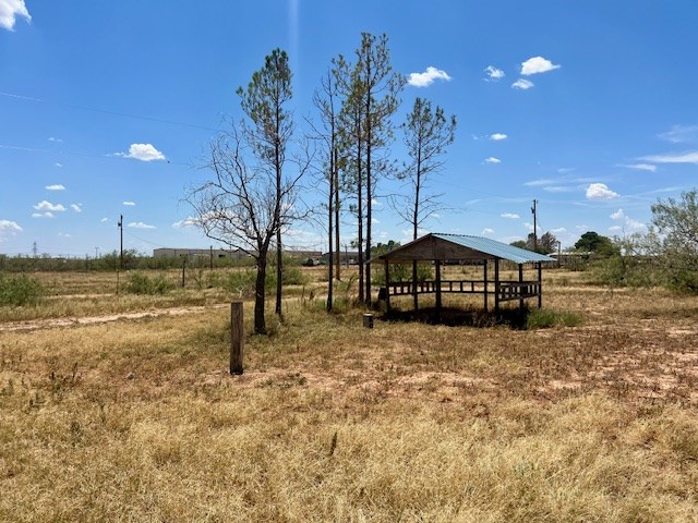 10207 W County Rd 154, Midland, Texas image 12