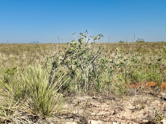 000 County Rd 315, Seminole, Texas image 9