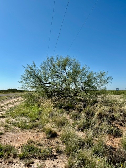 000 County Rd 315, Seminole, Texas image 12