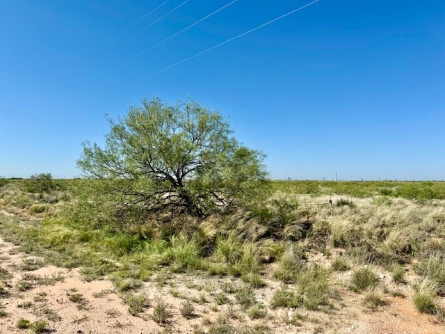 000 County Rd 315, Seminole, Texas image 6