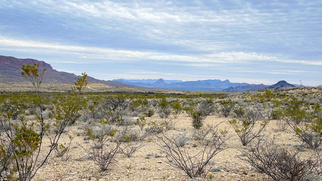 14539 Main St, Terlingua, Texas image 2