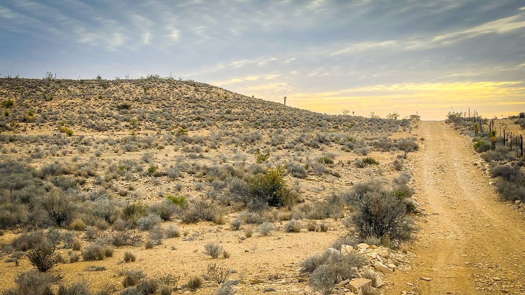 14539 Main St, Terlingua, Texas image 5