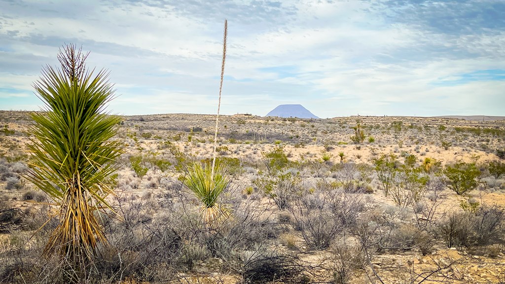 14539 Main St, Terlingua, Texas image 3