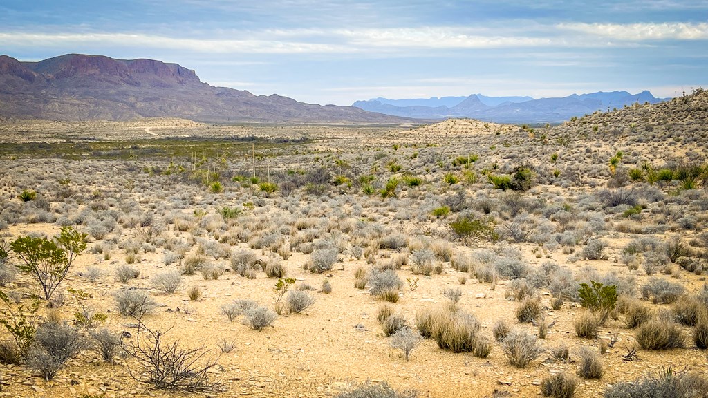 14539 Main St, Terlingua, Texas image 4