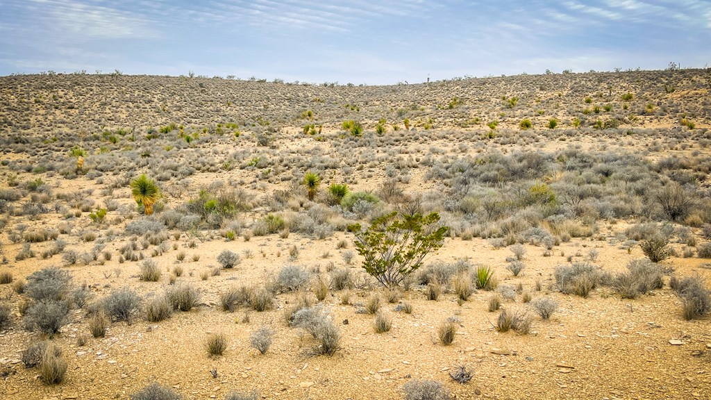 14539 Main St, Terlingua, Texas image 6