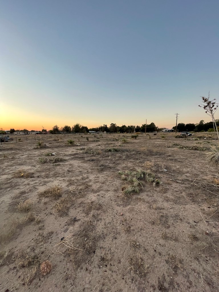 1006 N Plateau St, Marfa, Texas image 2