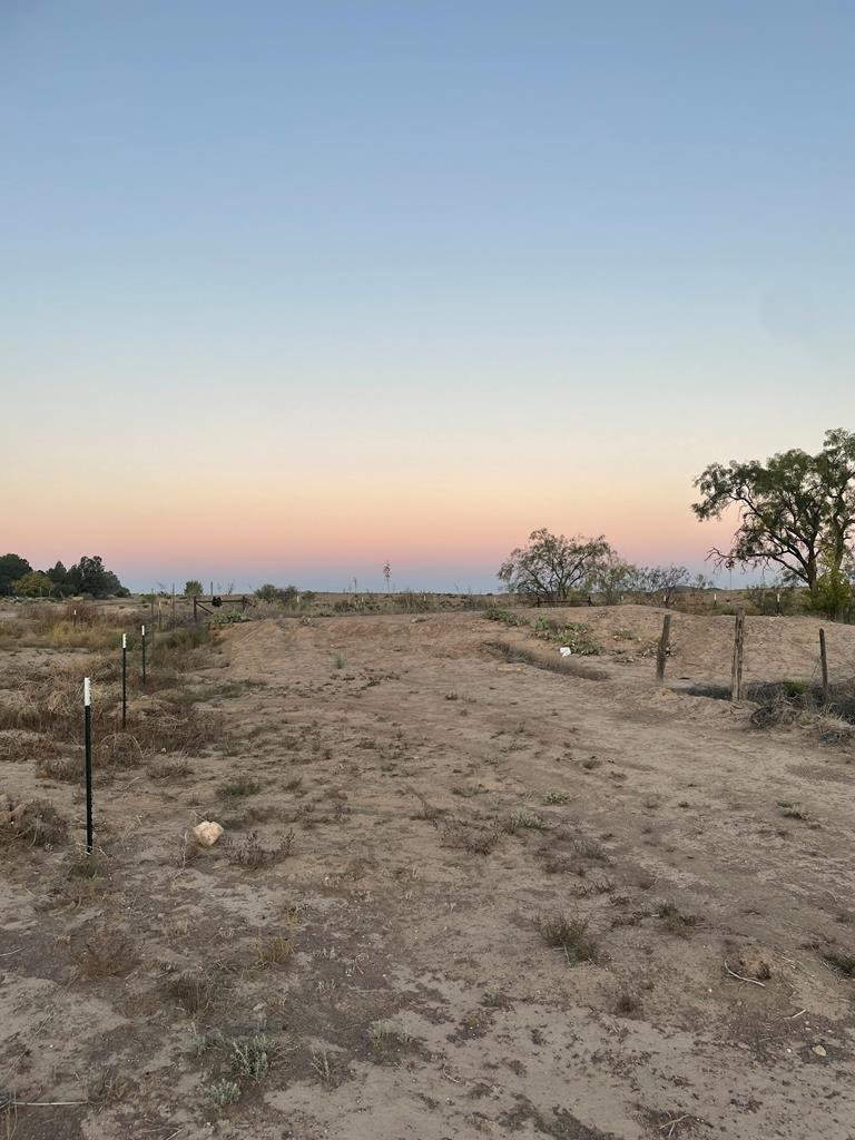 1006 N Plateau St, Marfa, Texas image 1