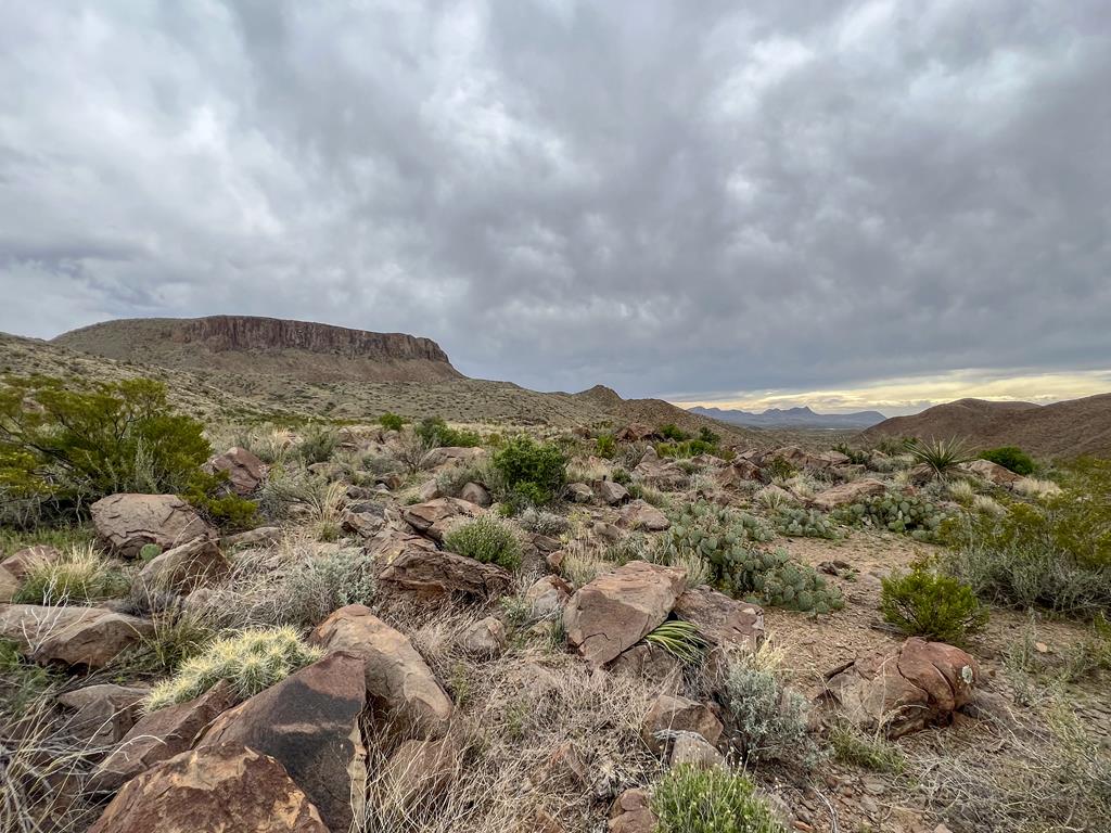 8103 Diablo Pass, Terlingua, Texas image 16