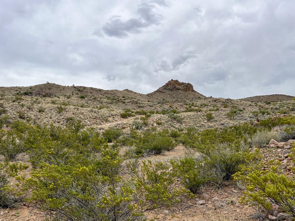 8103 Diablo Pass, Terlingua, Texas image 11