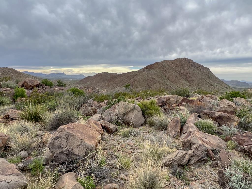 8103 Diablo Pass, Terlingua, Texas image 19