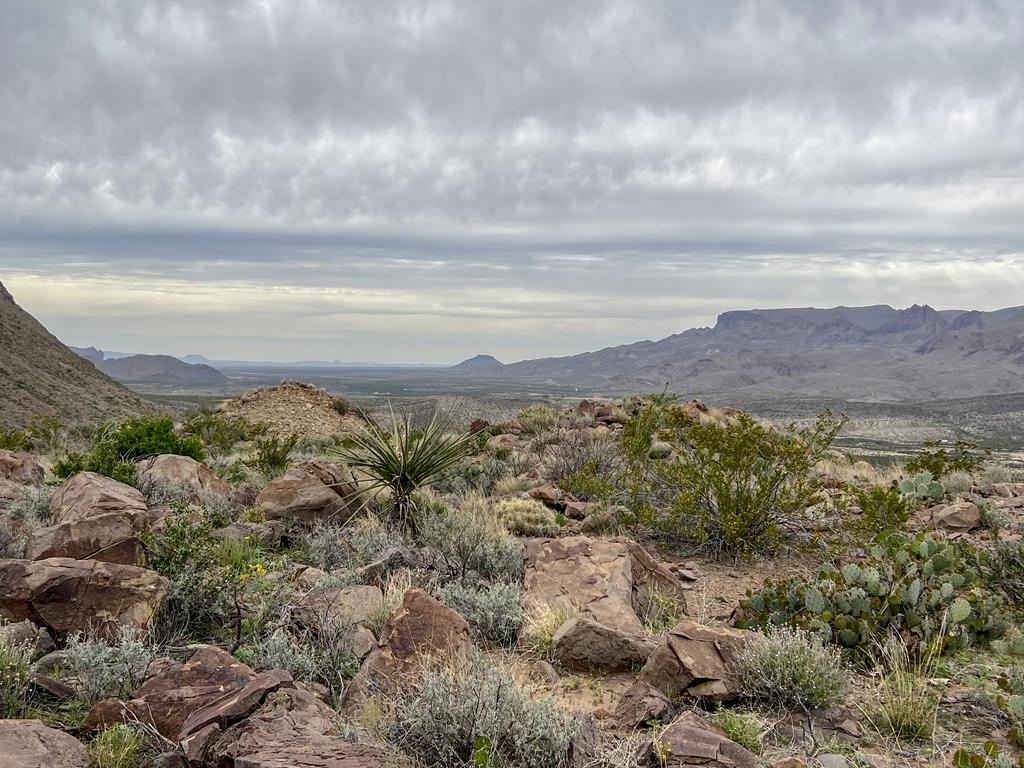 8103 Diablo Pass, Terlingua, Texas image 20