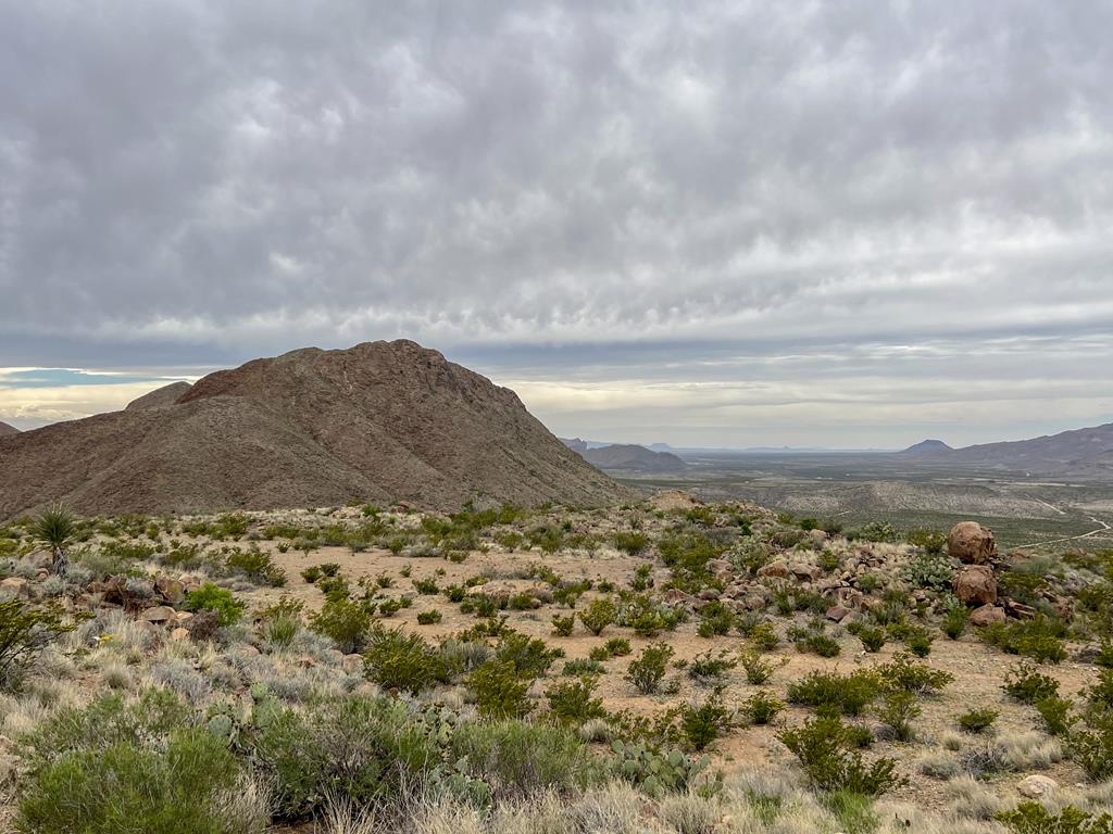 8103 Diablo Pass, Terlingua, Texas image 9