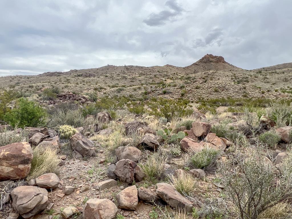 8103 Diablo Pass, Terlingua, Texas image 17