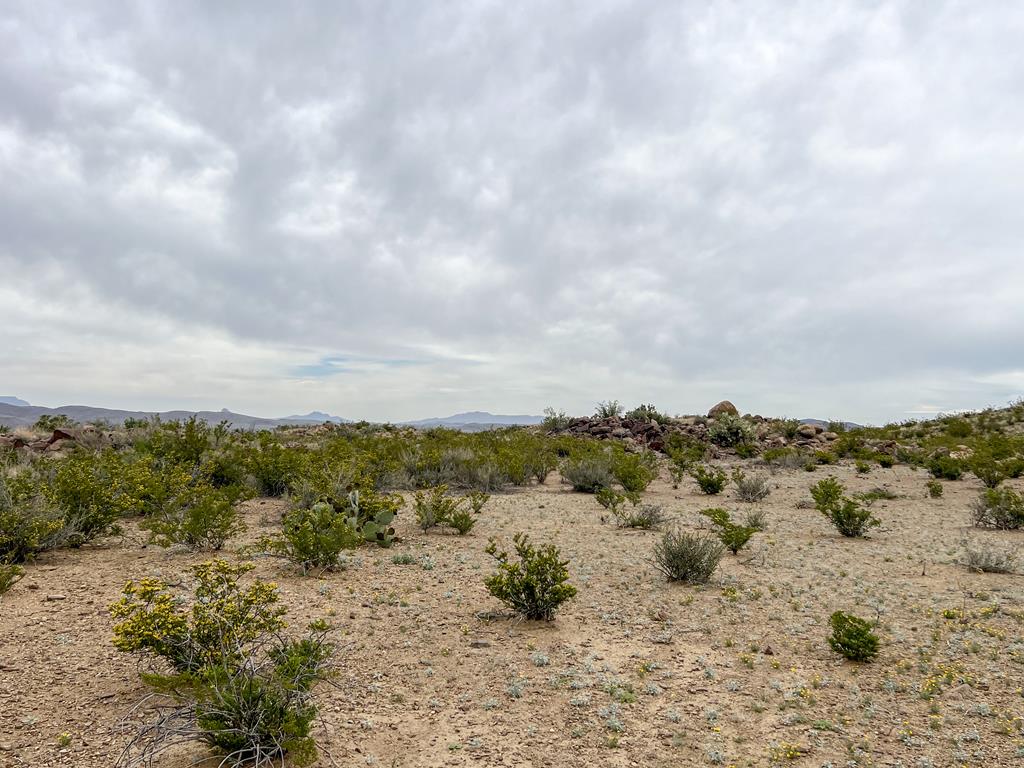 8103 Diablo Pass, Terlingua, Texas image 22