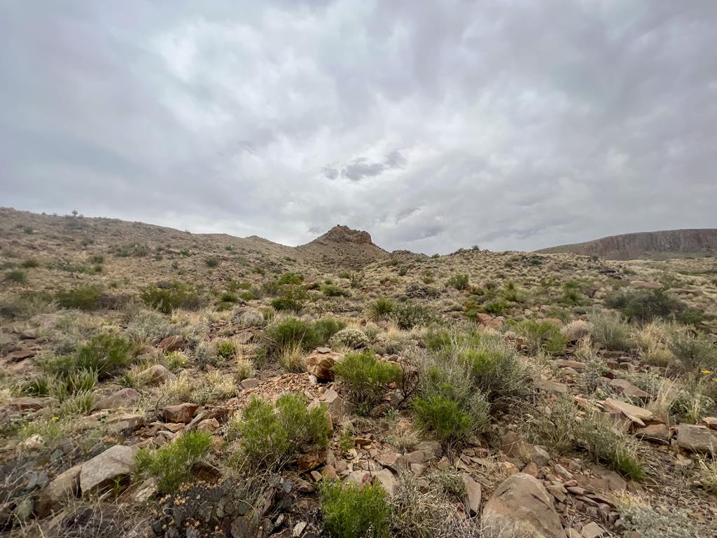 8103 Diablo Pass, Terlingua, Texas image 7