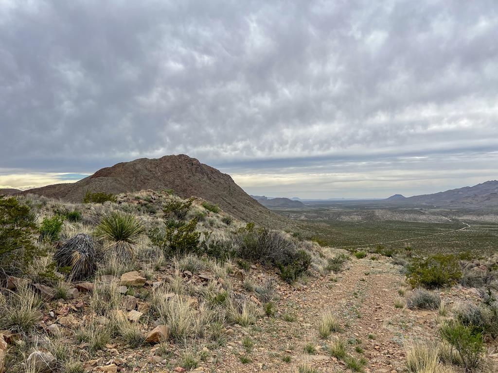 8103 Diablo Pass, Terlingua, Texas image 14