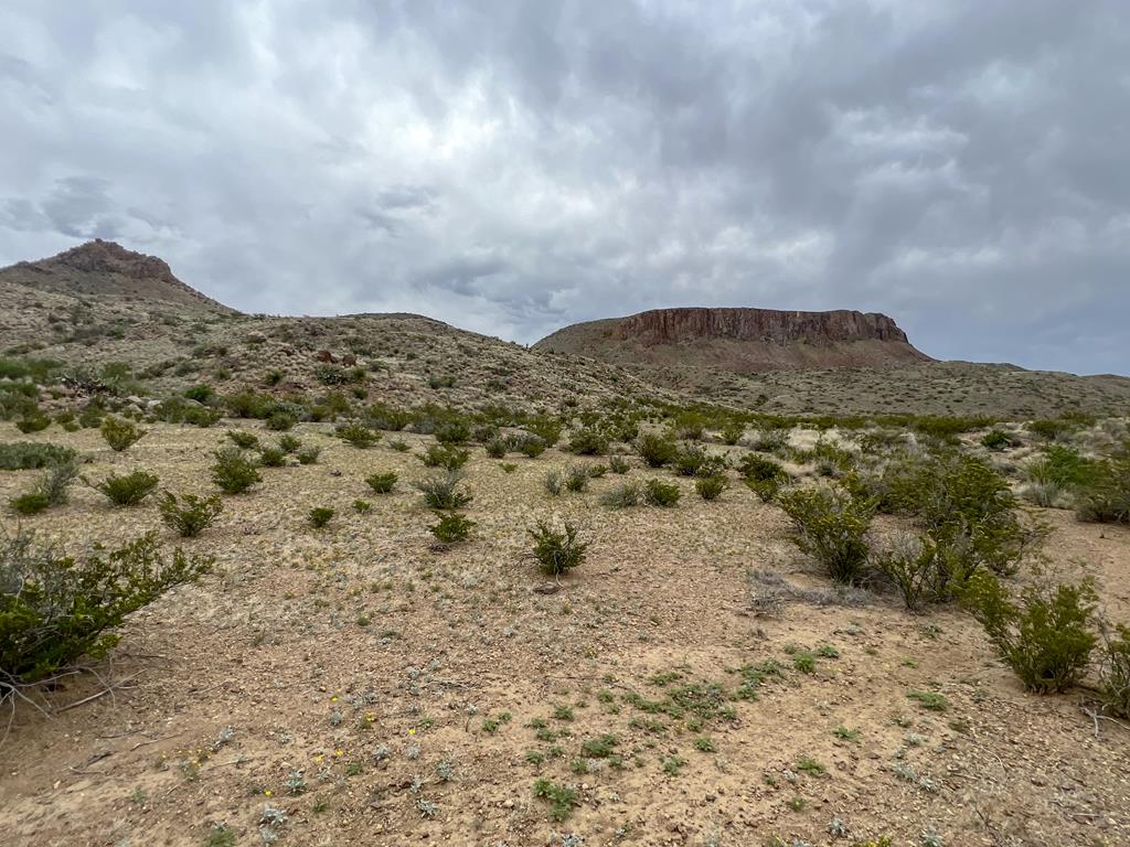 8103 Diablo Pass, Terlingua, Texas image 21