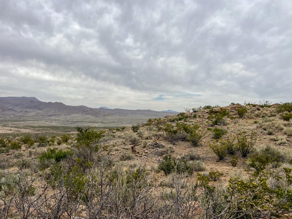 8103 Diablo Pass, Terlingua, Texas image 13