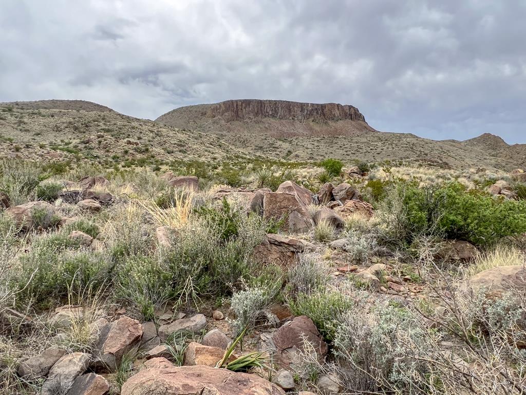 8103 Diablo Pass, Terlingua, Texas image 18