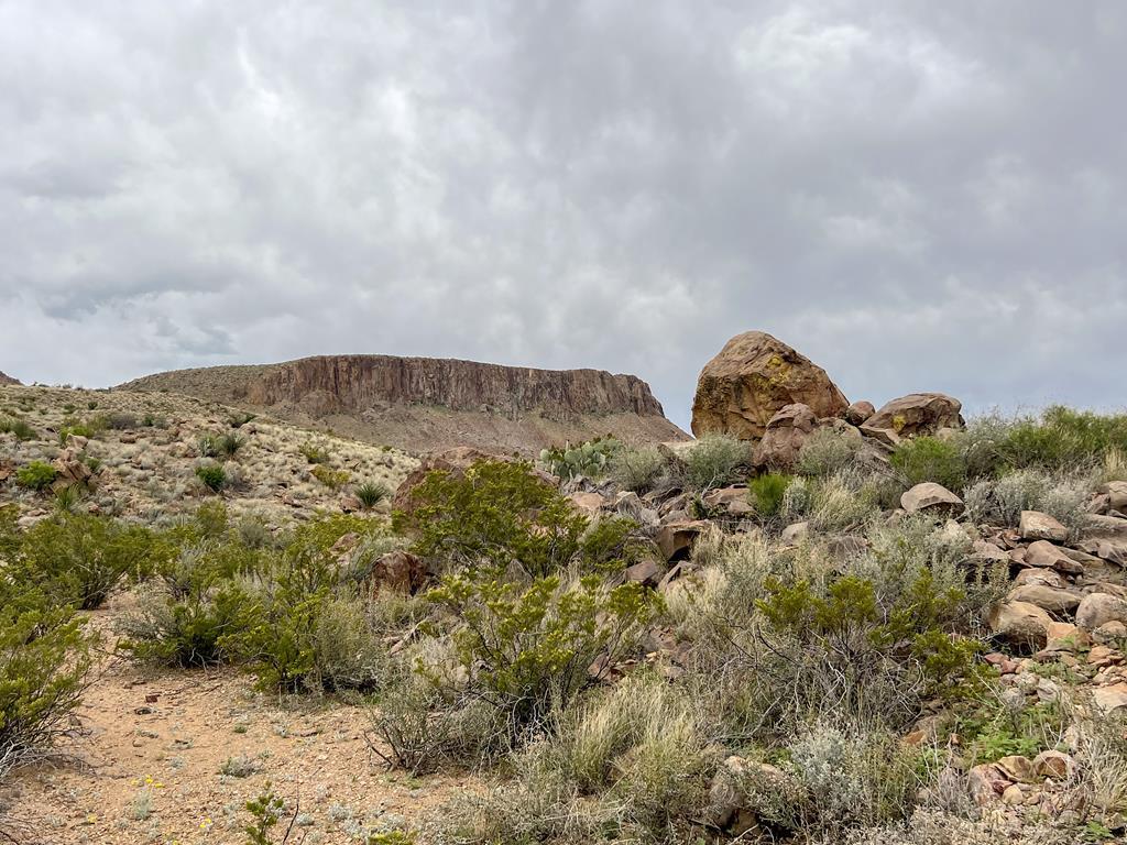 8103 Diablo Pass, Terlingua, Texas image 3