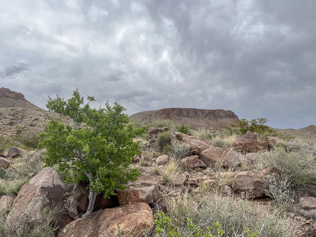 8103 Diablo Pass, Terlingua, Texas image 15