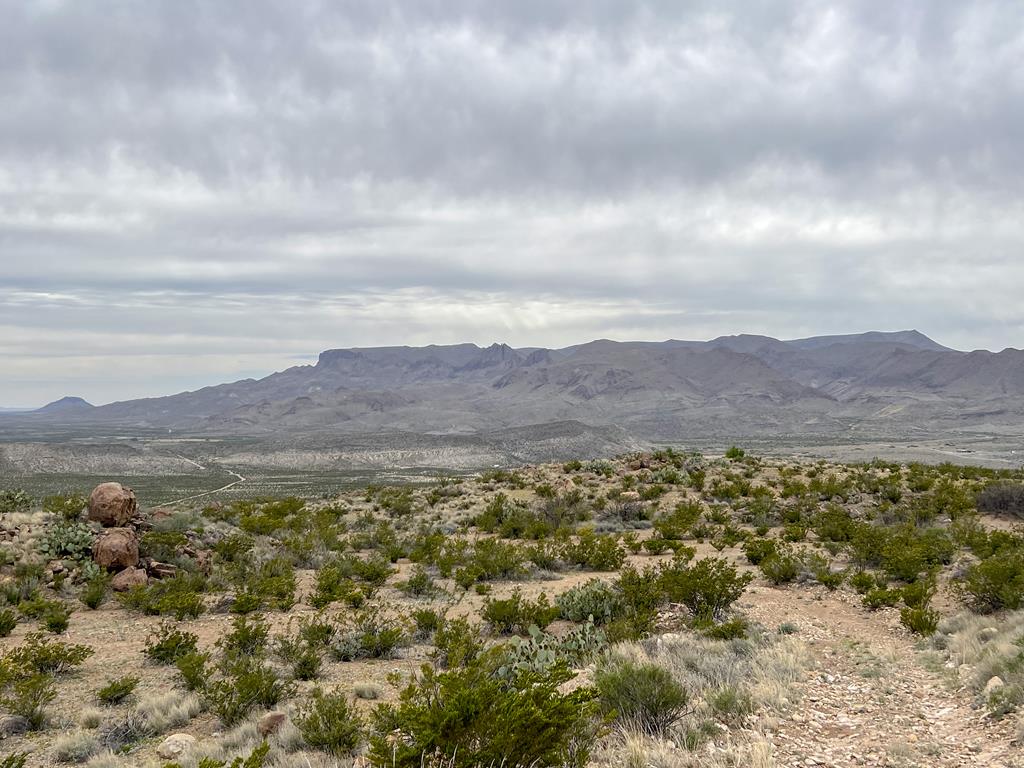 8103 Diablo Pass, Terlingua, Texas image 10