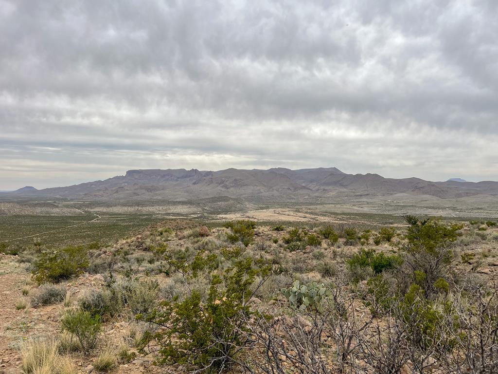 8103 Diablo Pass, Terlingua, Texas image 12