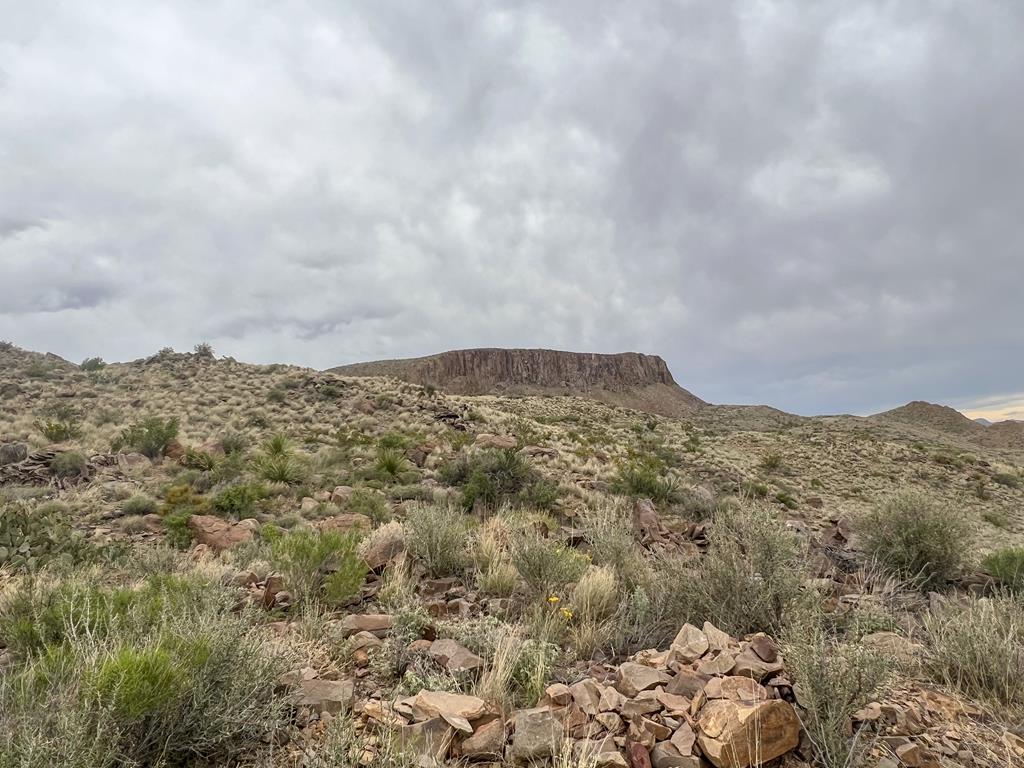 8103 Diablo Pass, Terlingua, Texas image 8