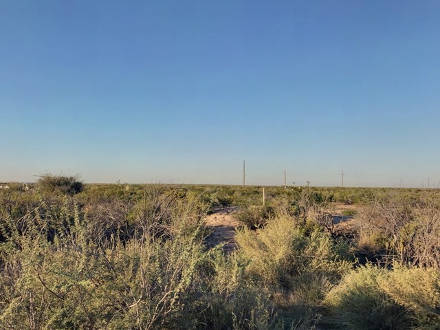 10 Acres County Rd 2545, Coyanosa, Texas image 4