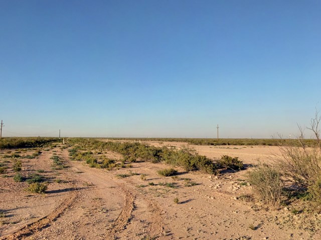 10 Acres County Rd 2545, Coyanosa, Texas image 9