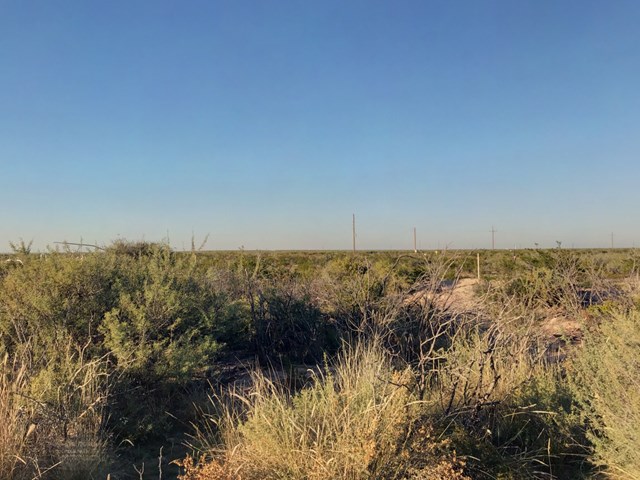 10 Acres County Rd 2545, Coyanosa, Texas image 1