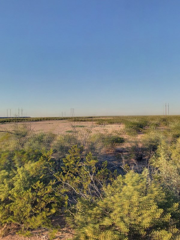 10 Acres County Rd 2545, Coyanosa, Texas image 8