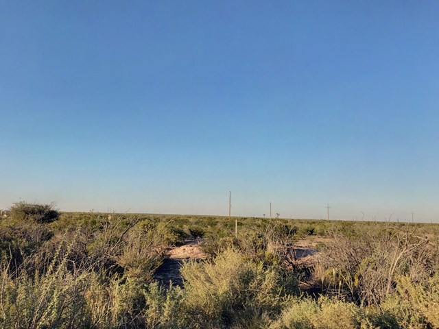 10 Acres County Rd 2545, Coyanosa, Texas image 3