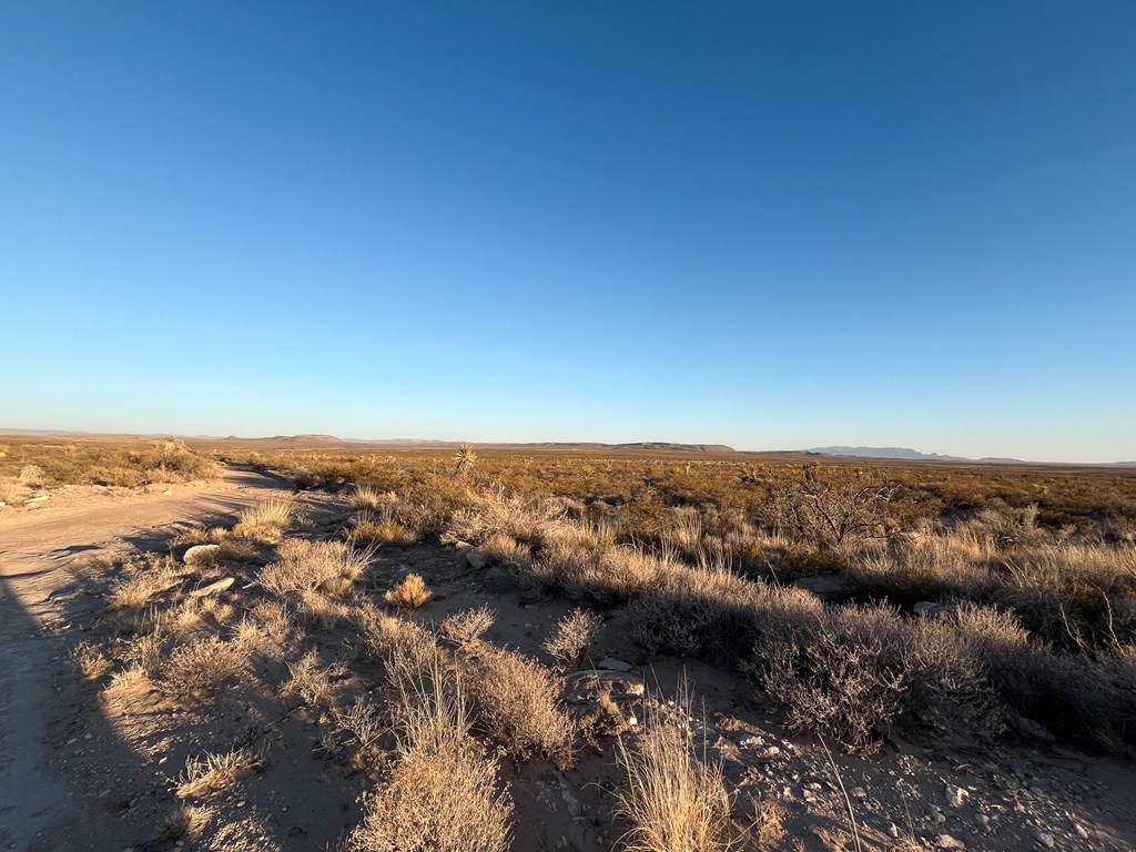 6 Tierra Perla Ct, Sierra Blanca, Texas image 21