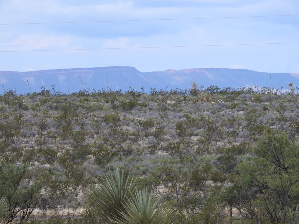 51345 State Hwy 118 S #10.19 ACRES, Terlingua, Texas image 24