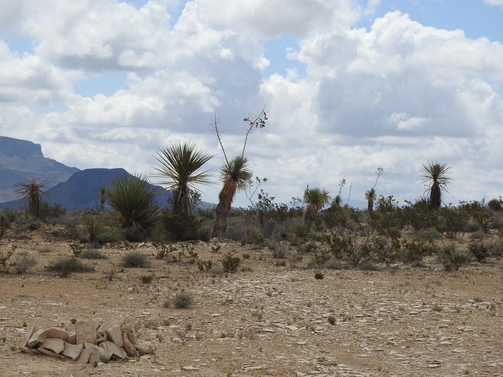 51345 State Hwy 118 S #10.19 ACRES, Terlingua, Texas image 7