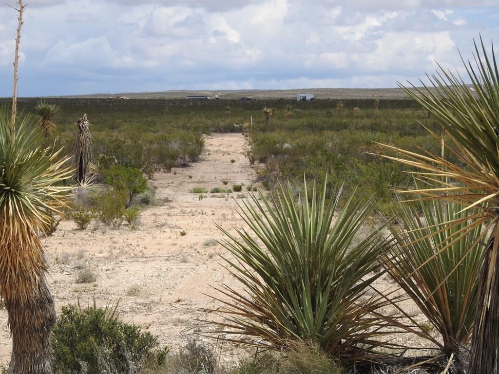 51345 State Hwy 118 S #10.19 ACRES, Terlingua, Texas image 1