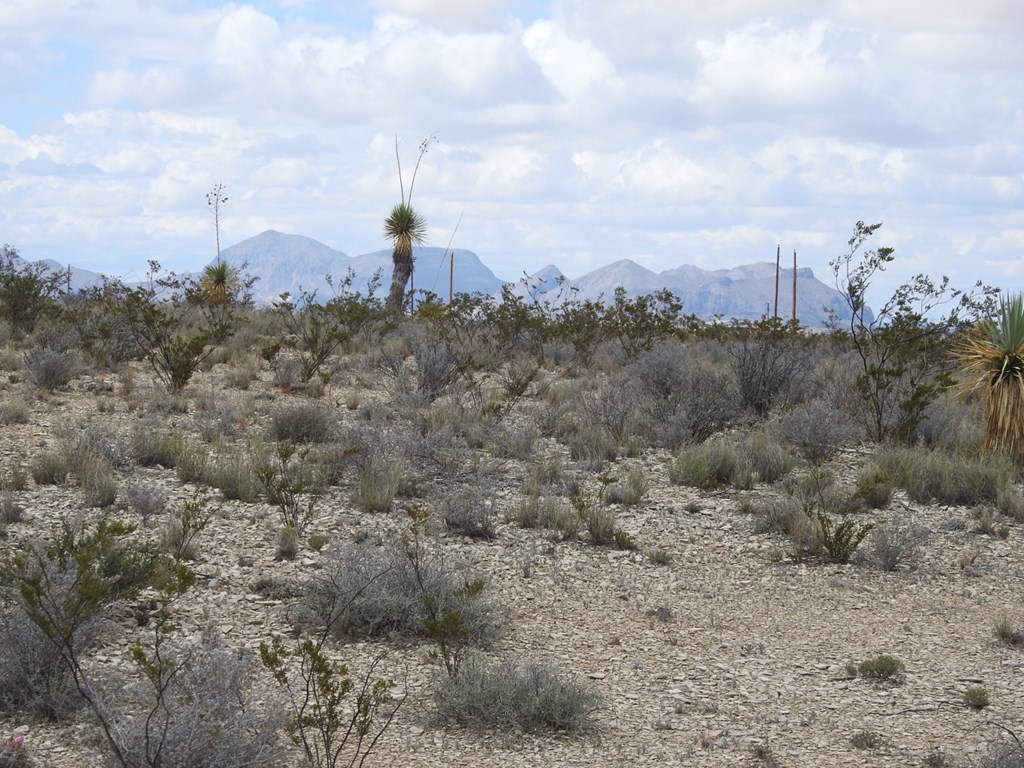 51345 State Hwy 118 S #10.19 ACRES, Terlingua, Texas image 26